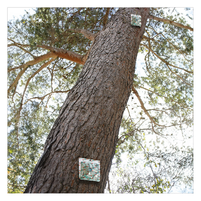 instalacion repelente